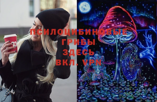 прущие грибы Заволжск