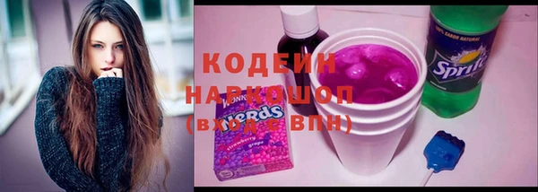 прущие грибы Заволжск