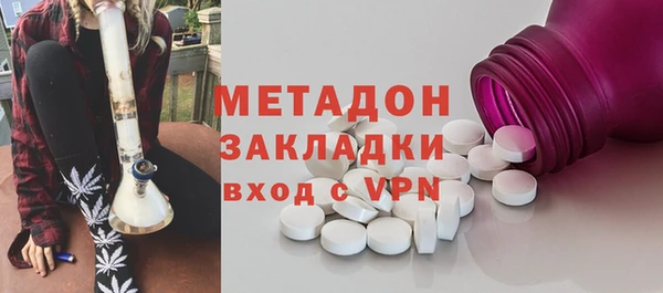 прущие грибы Заволжск