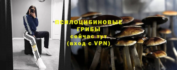 бутират Заводоуковск
