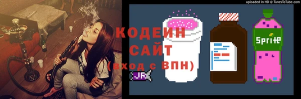 прущие грибы Заволжск
