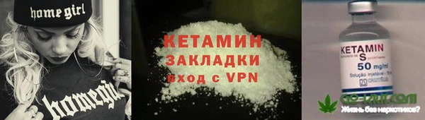 прущие грибы Заволжск