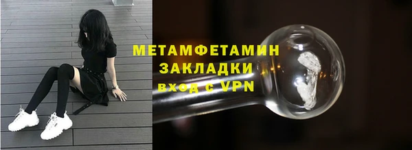 прущие грибы Заволжск
