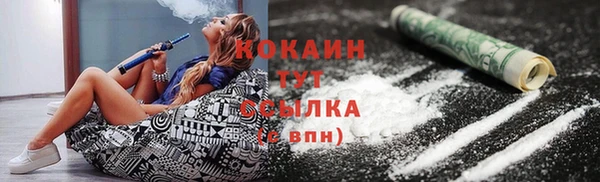 прущие грибы Заволжск