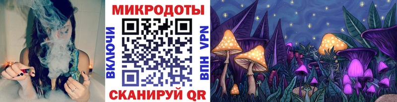 Галлюциногенные грибы Psilocybine cubensis  Купить где  Кущёвская 